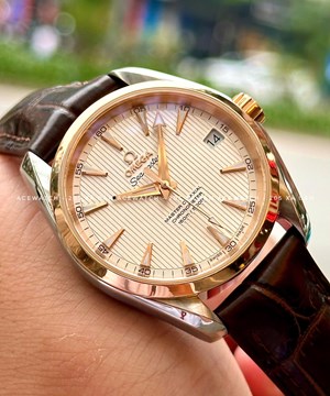 OMEGA AQUA TERA  MASTER 231.23.39.21.02.001