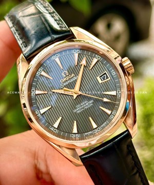 Seamaster AquaTerra 18k  231.53.42.21.06.001 